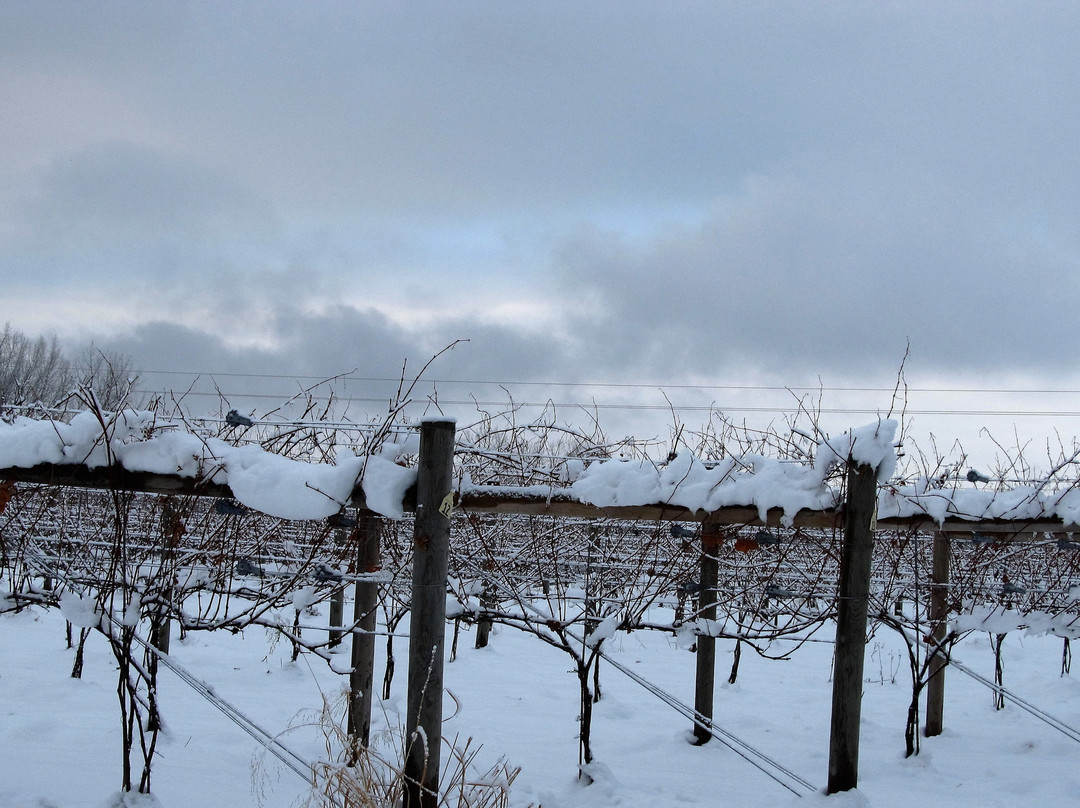 L’Etoile Du Nord Farm Winery景点图片