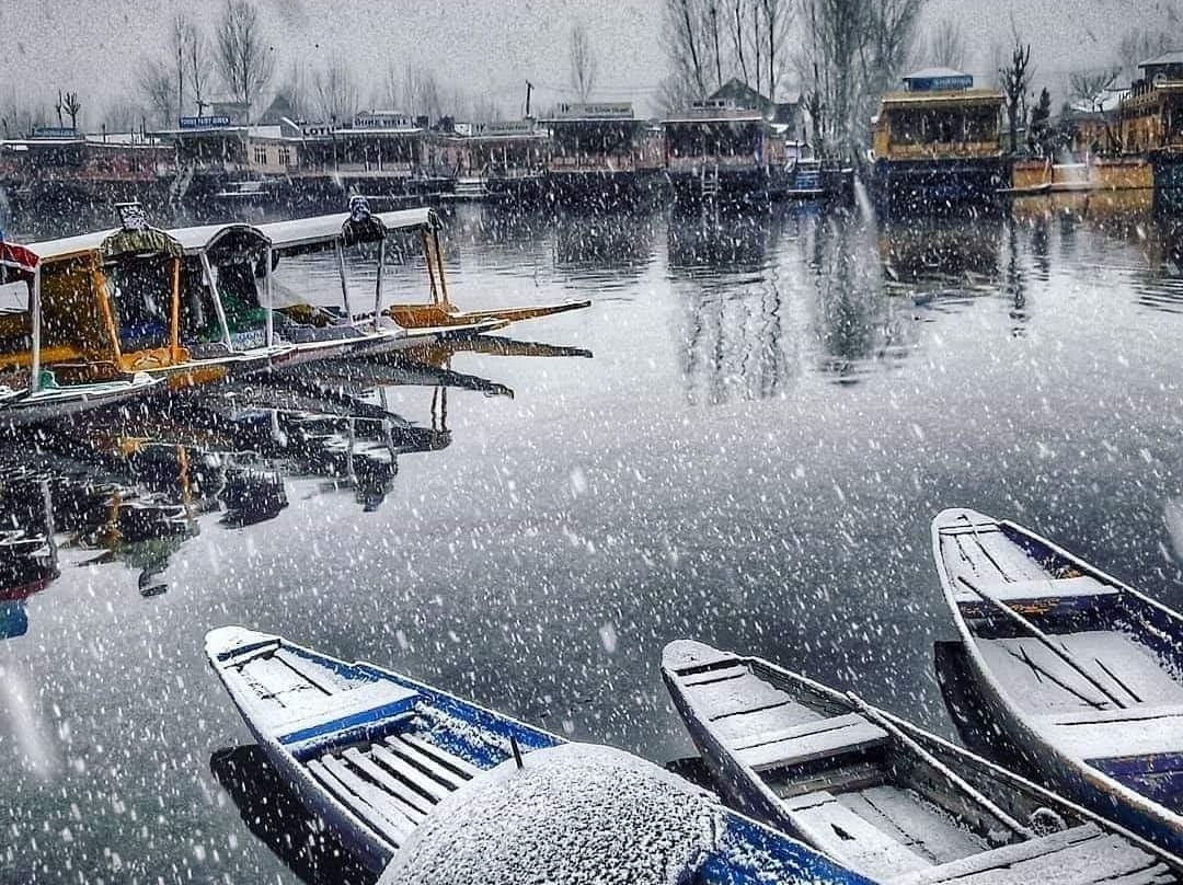 Kashmir Downtown Travels-斯利那加必去景点