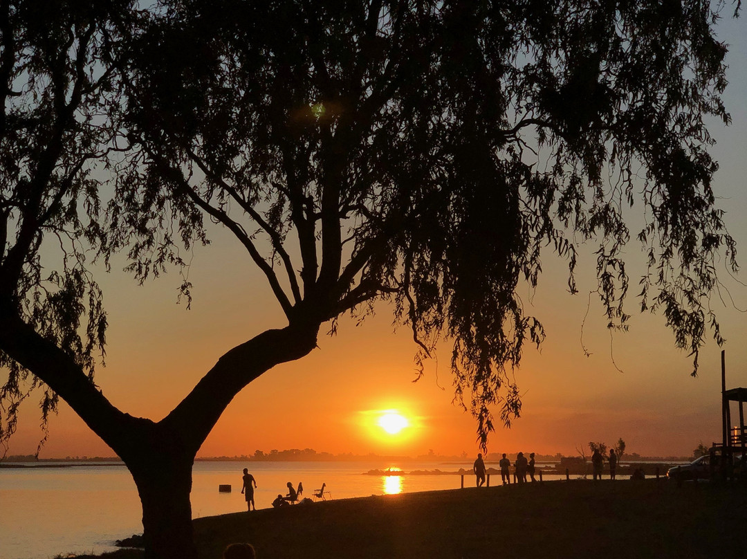 Parque Natural Laguna de Gomez景点图片