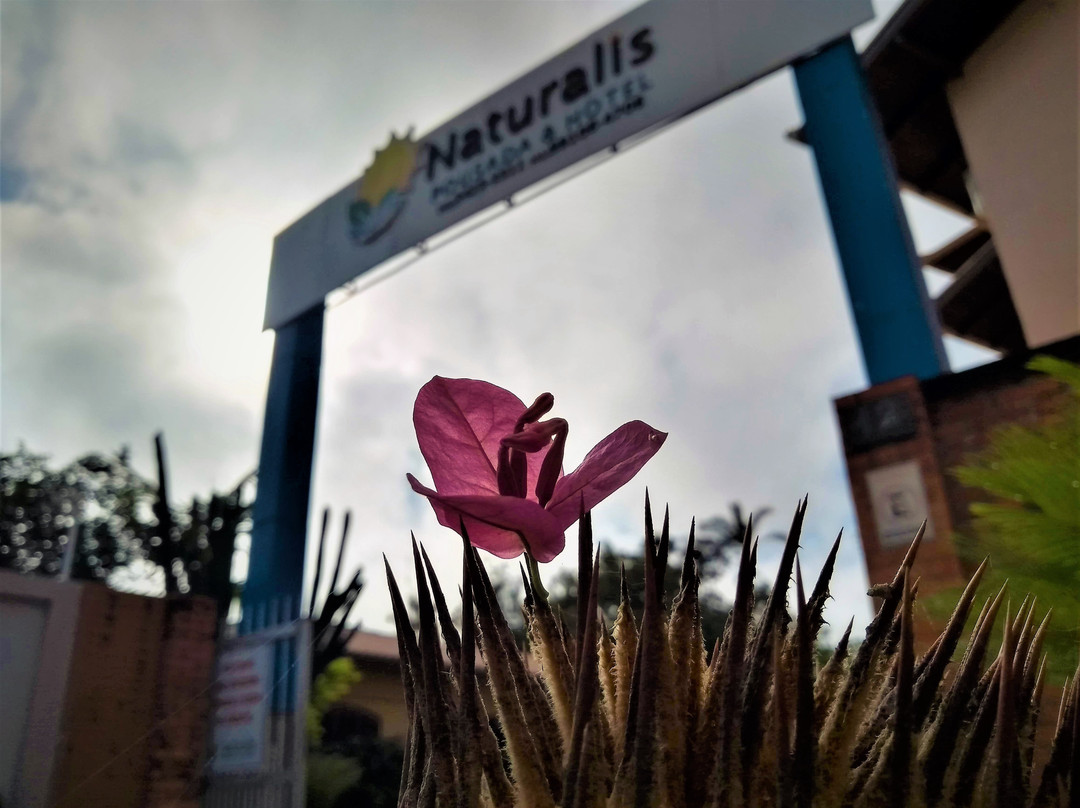 Naturalis Pousada & Hotel主图