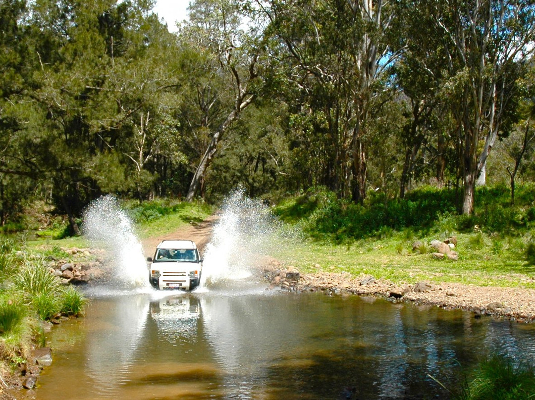 Eco Safaris Queensland景点图片
