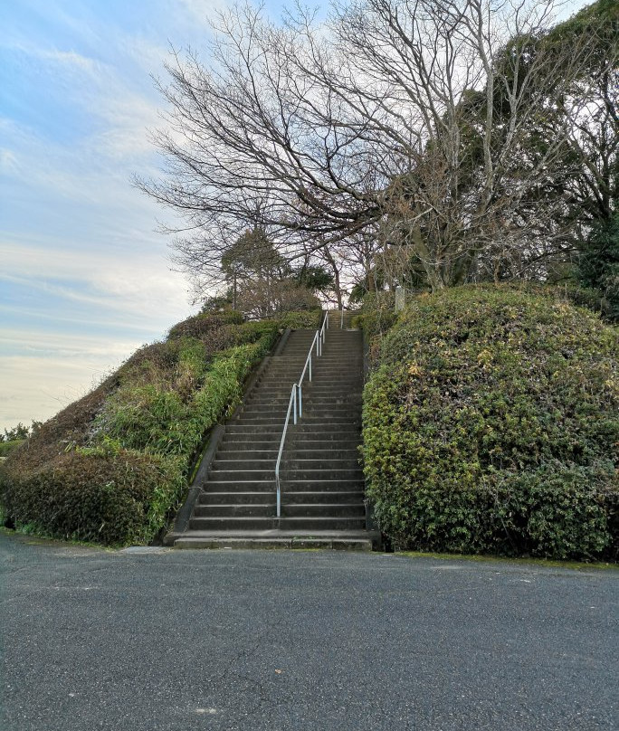 Asahiyama Park景点图片