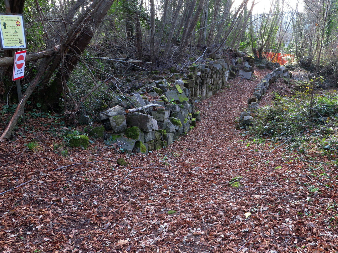 Rovine DI Castro景点图片