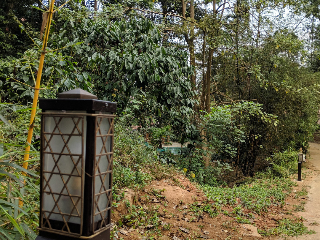 Silent Creek Resort and Spa主图