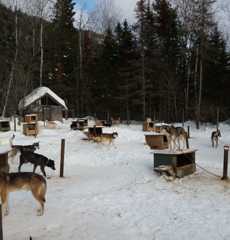 Descente Malbaie-Saint Aime Des Lacs必去景点