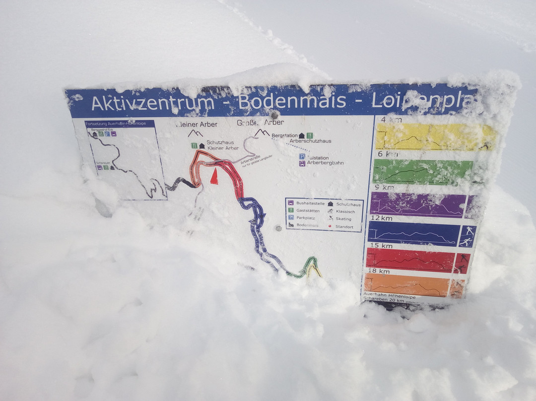 Aktivzentrum Bodenmais景点图片