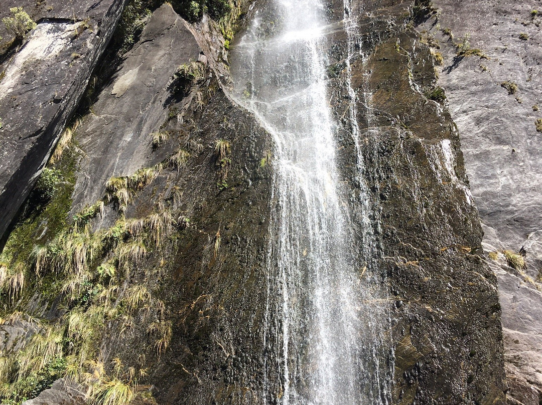 Franz Josef Alpine Lodge主图