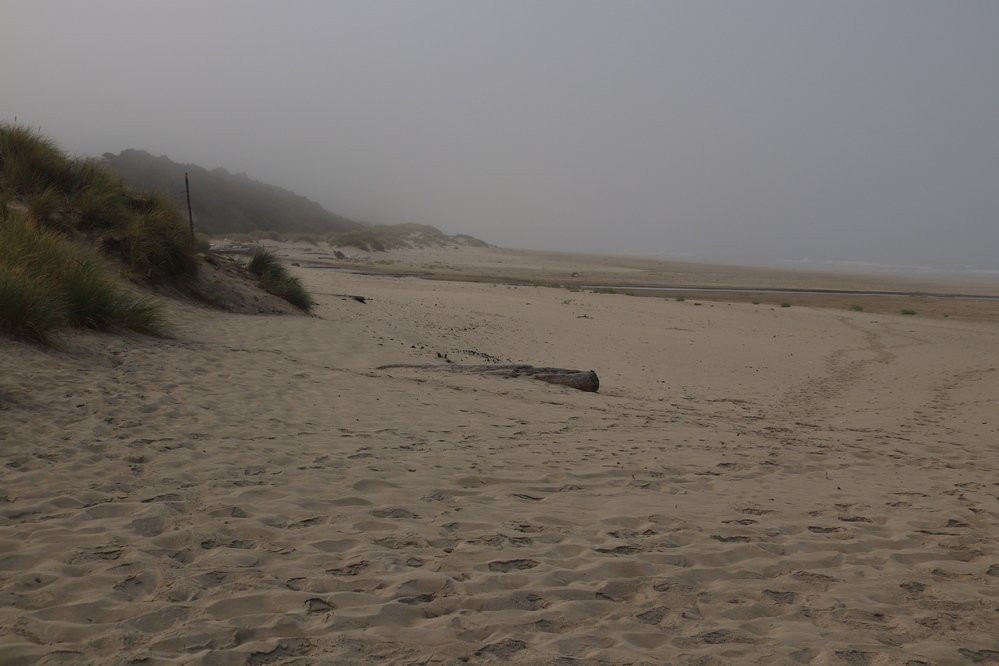 Governor Patterson Memorial State Recreation Site-Waldport必去景点