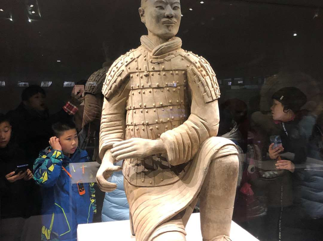 Xian Tour Expert - Day Tour-西安市必去景点