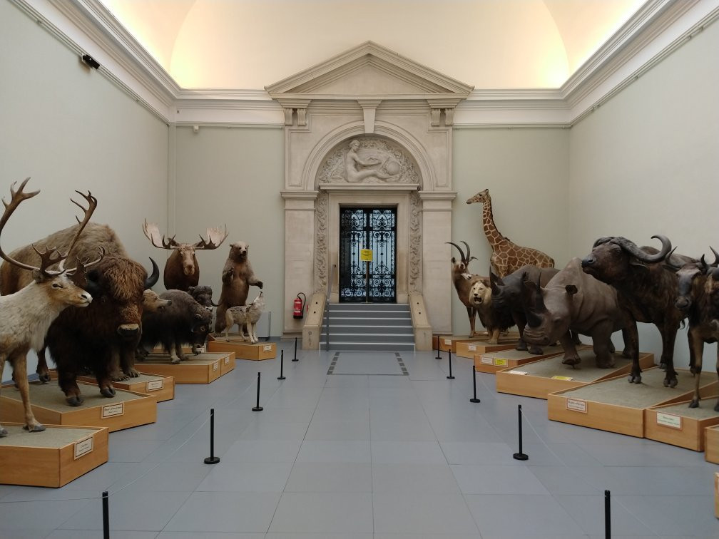 Musée de Zoologie Lausanne景点图片