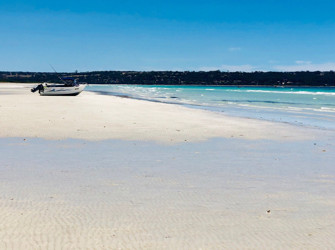 Island Beach-袋鼠岛必去景点