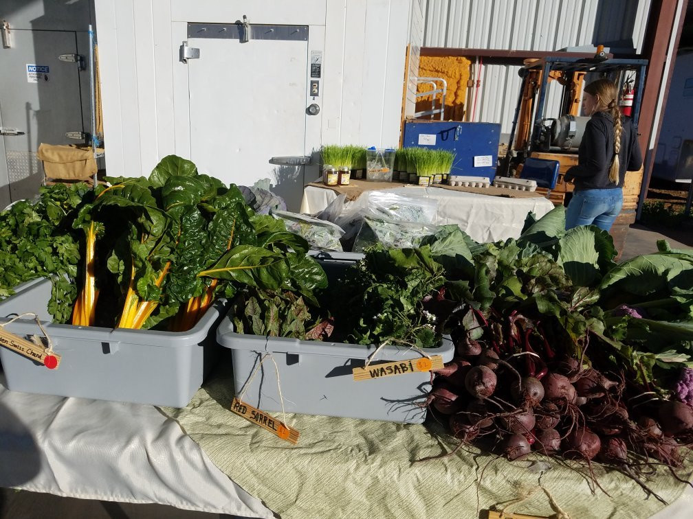 Rhibafarm-San Tan Valley必去景点