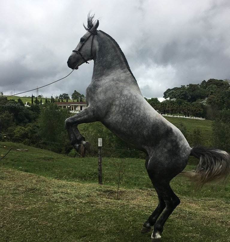 Casa Caballero Hotel Boutique主图