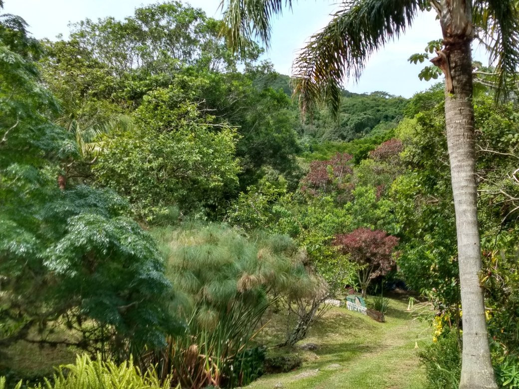 Pousada Sitio Dos Tucanos主图