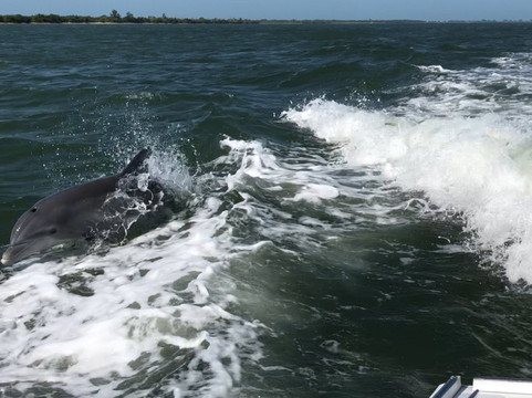 Downeast Charters-Cape Haze必去景点