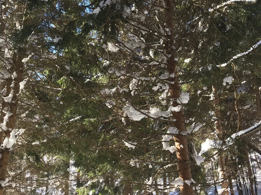 Snowcross-罗卡拉索必去景点