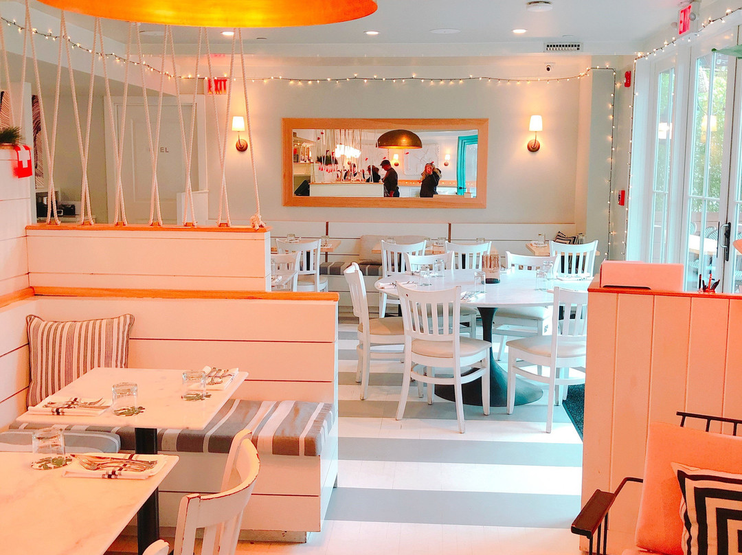 American Beech主图