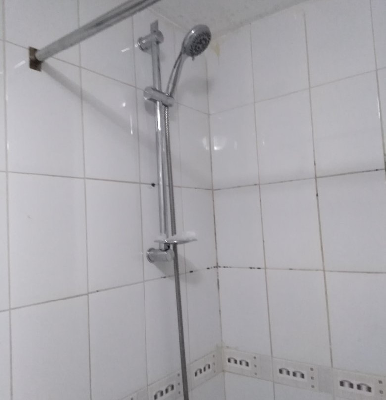 霍瓦利欧陆酒店主图