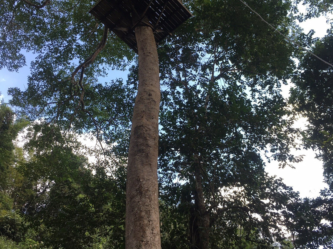 Nong Khiaw Jungle Fly-Nong Khiaw必去景点