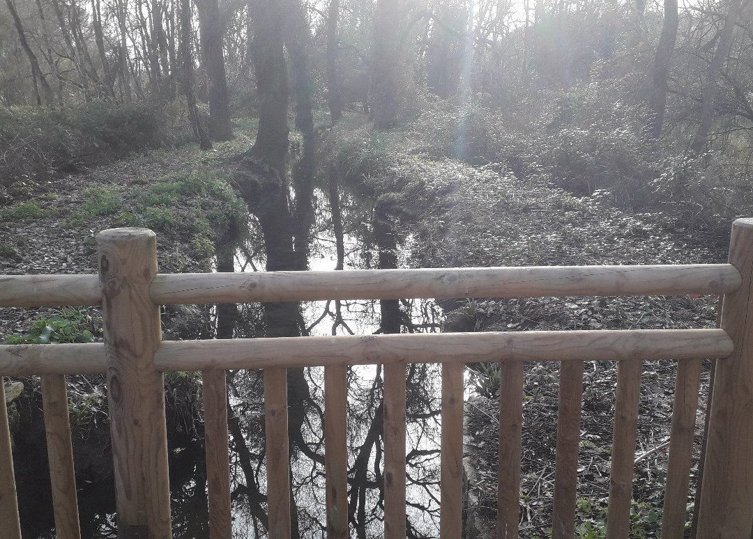 Parc de Vaugrenier景点图片