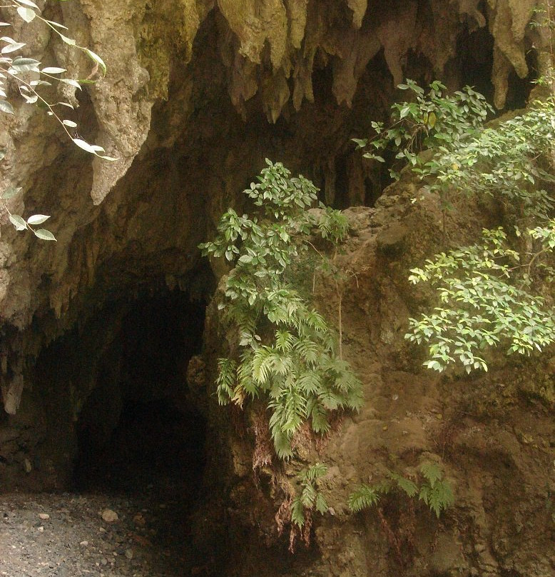 Mamara Cave景点图片