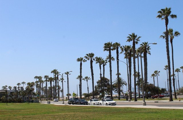 South Beach Park-圣莫尼卡必去景点