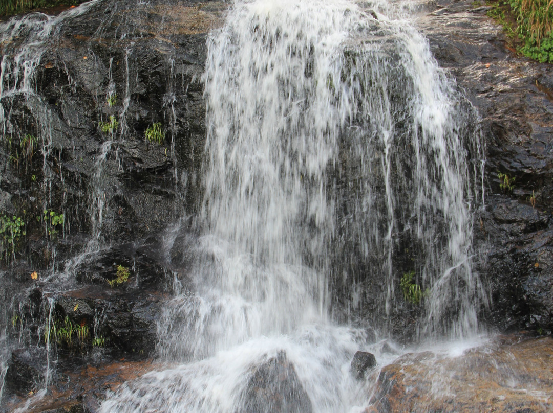 Thac Bac Waterfall (Silver Falls)景点图片