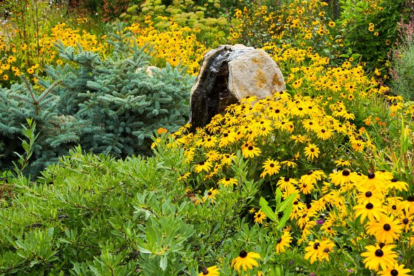 Gardens on Spring Creek-科林斯堡必去景点