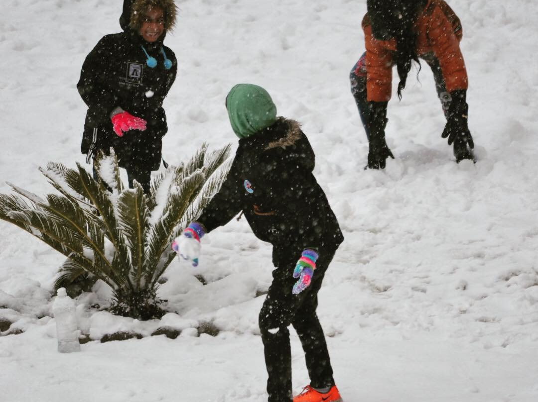 Hotel Trinetra Resorts主图