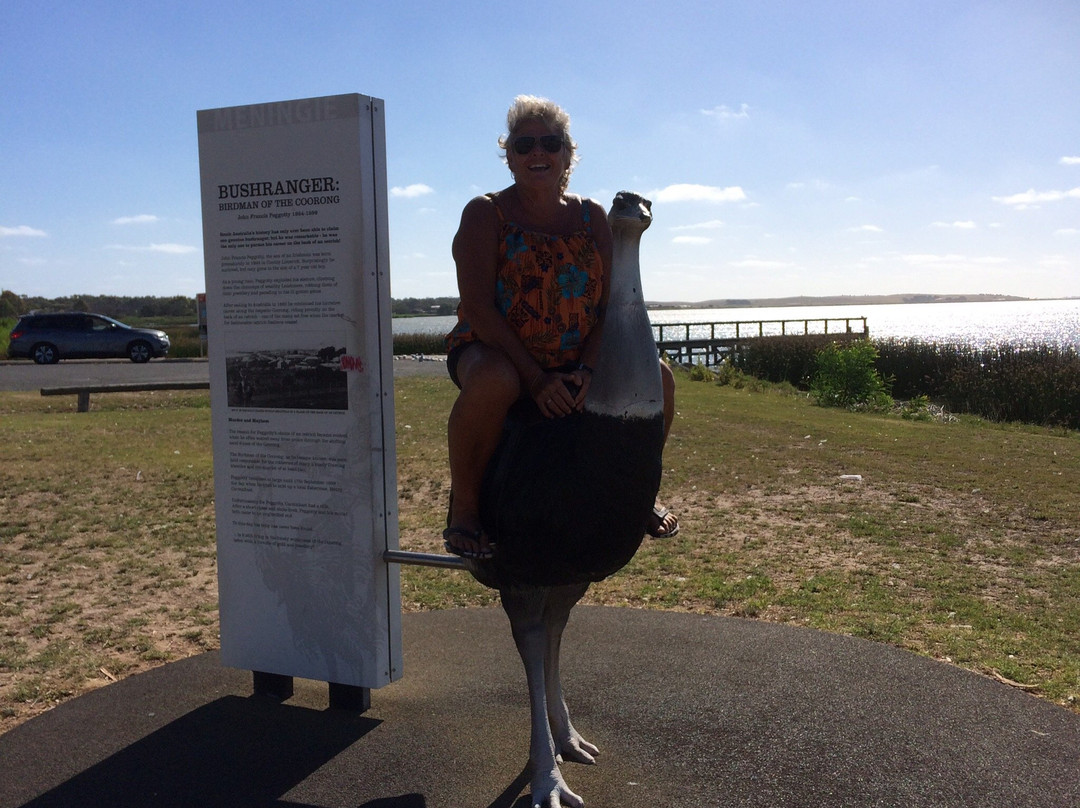 Birdman of the Coorong-Meningie必去景点