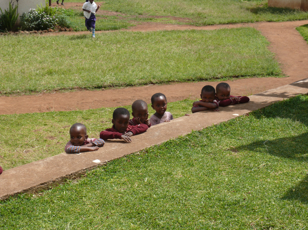 Kilimanjaro Friendship Trail-莫西必去景点