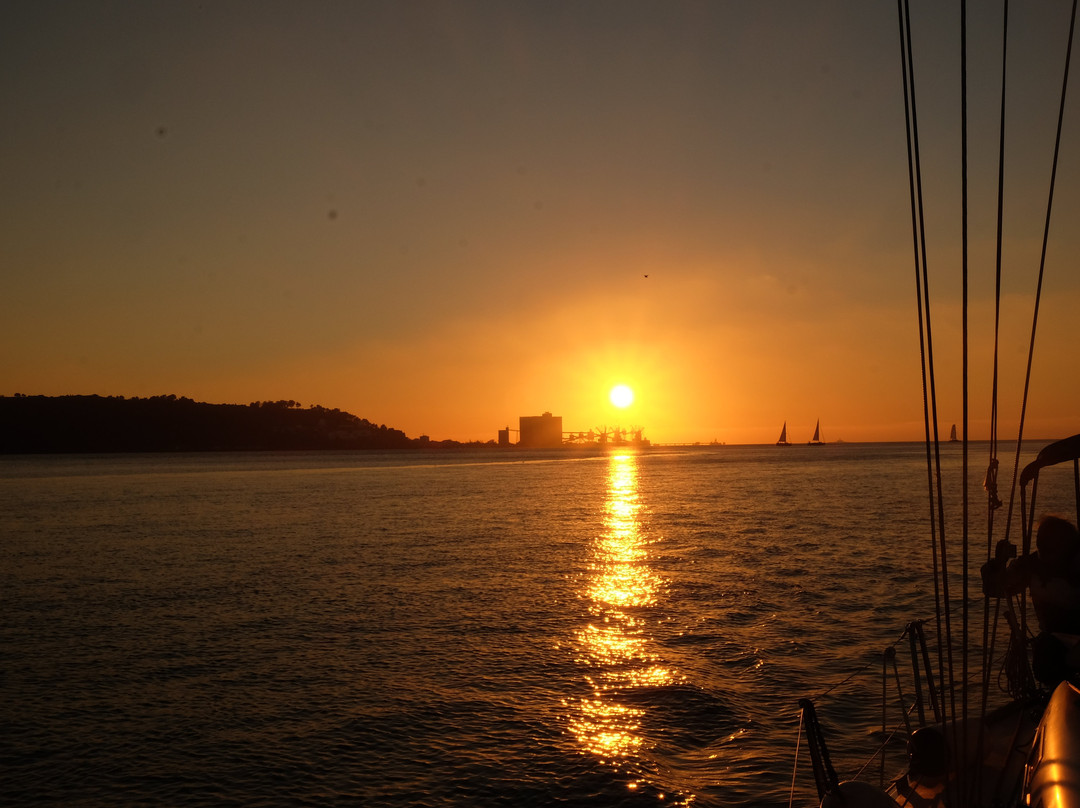 Discover Oasis - Boat Tours-里斯本必去景点