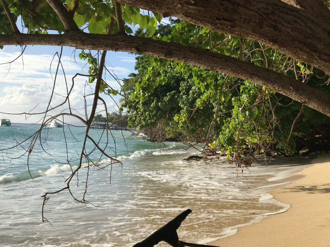 Bahia Principe Grand Samana主图