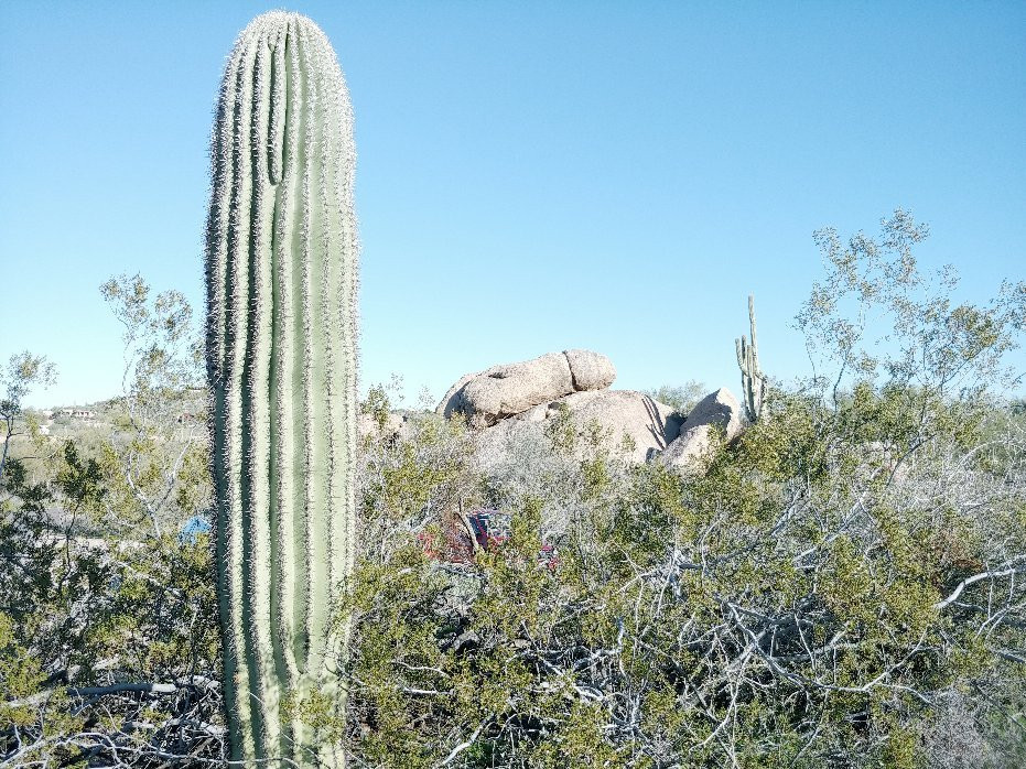 Phallic Rock-凯尔福利必去景点