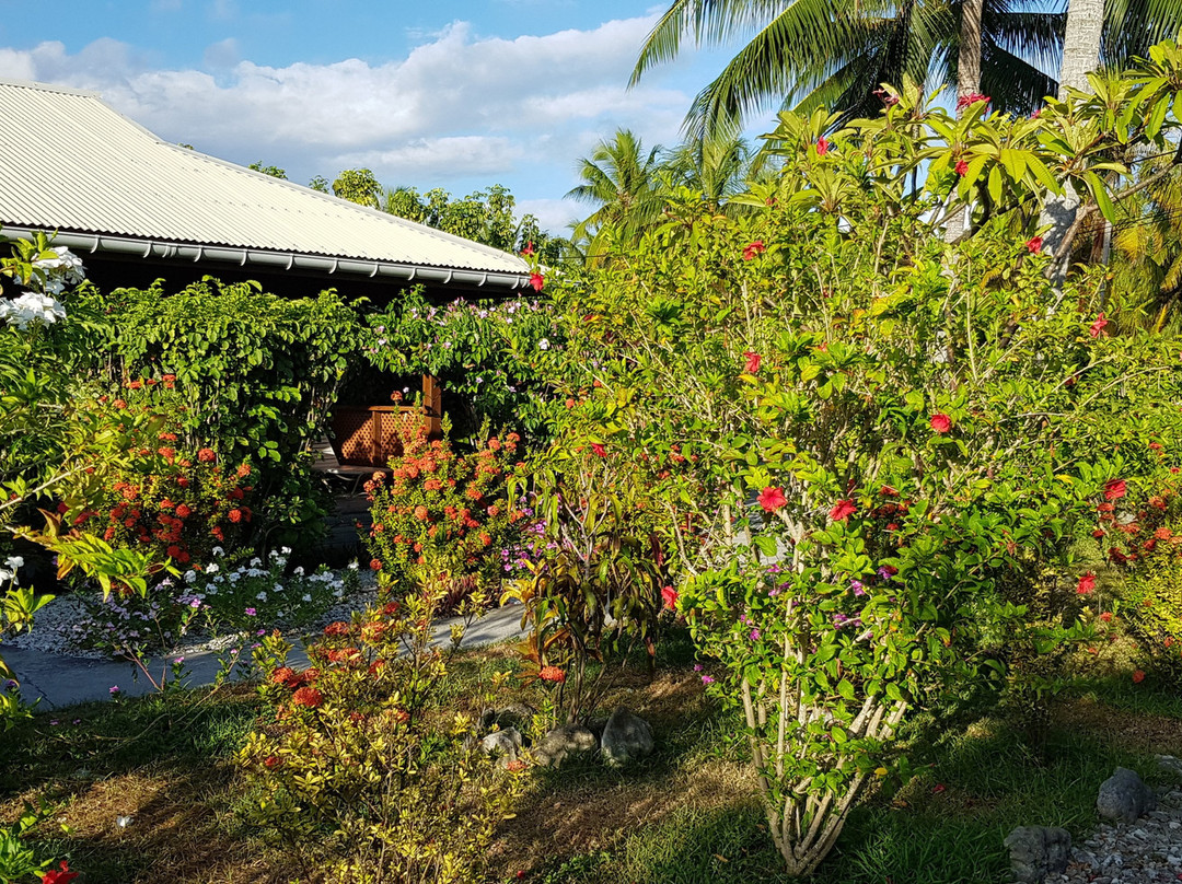 Bounty Rangiroa - Lodge & Boutique Hotel主图