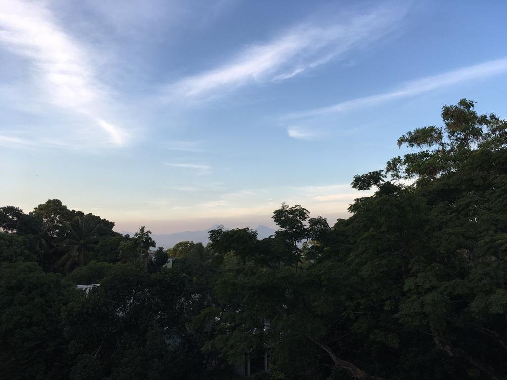 The Grand Hanthana主图