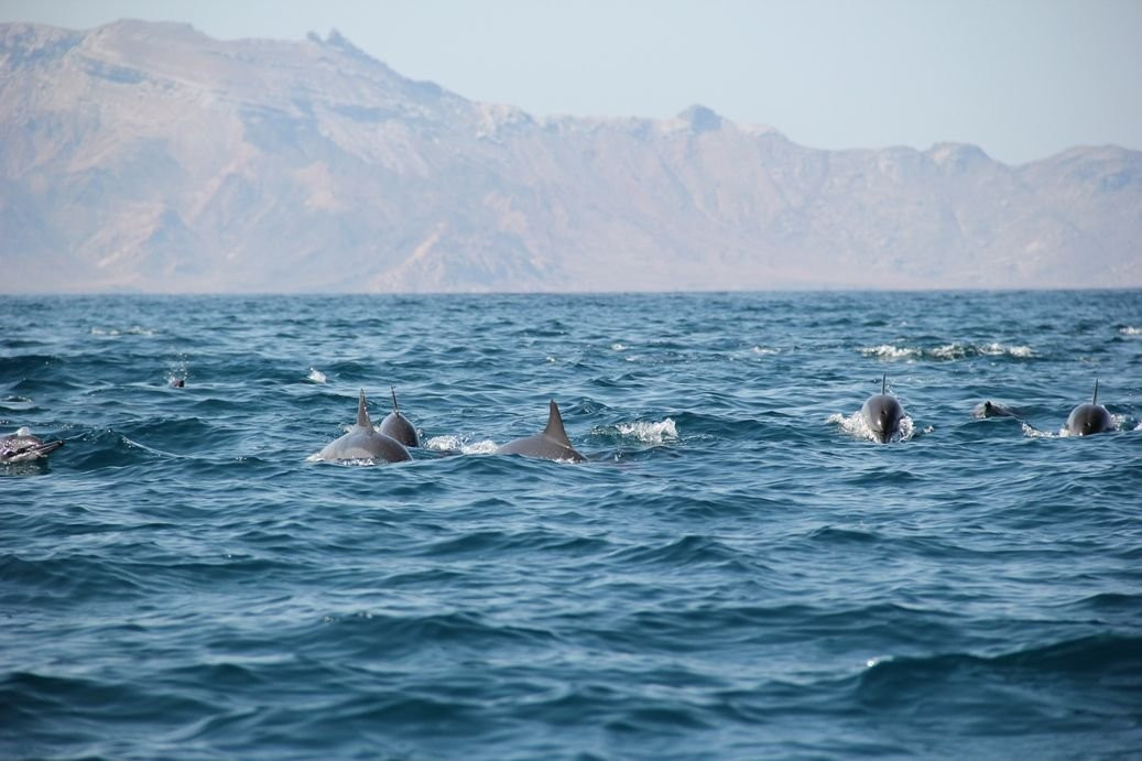 Socotra Adventure景点图片