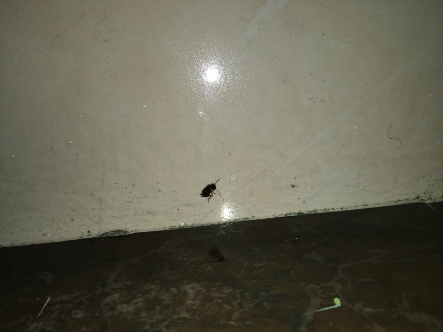 Hotel Punto 70-官方