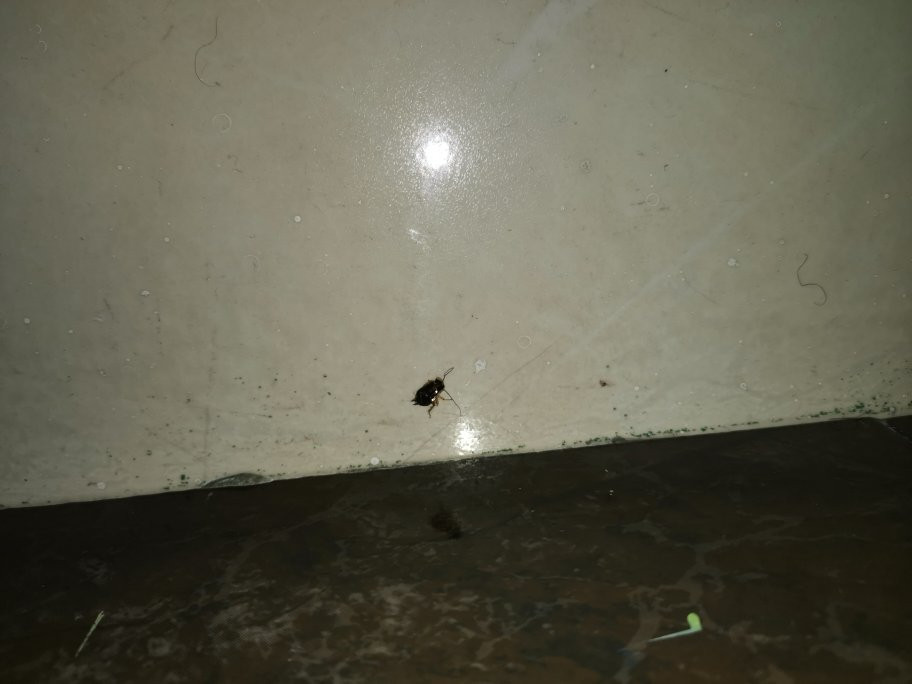 San Antonio de Pereira酒店住宿-Hotel Punto 70