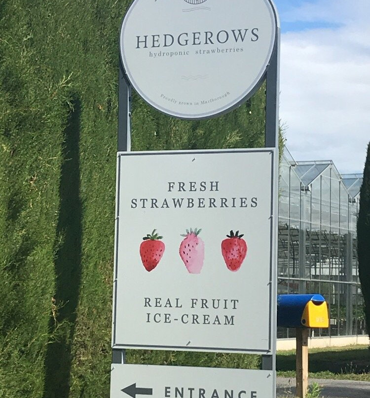 Hedgerows Hydroponic Strawberries景点图片