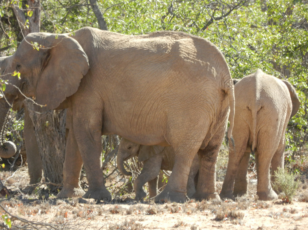 Kunene Region旅游景点-Ugab River