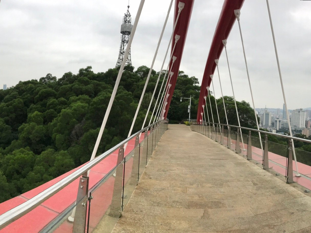 金鸡山公园景点图片
