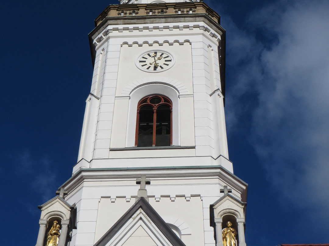 The Virgin Mary's Assumption Church-Celje必去景点