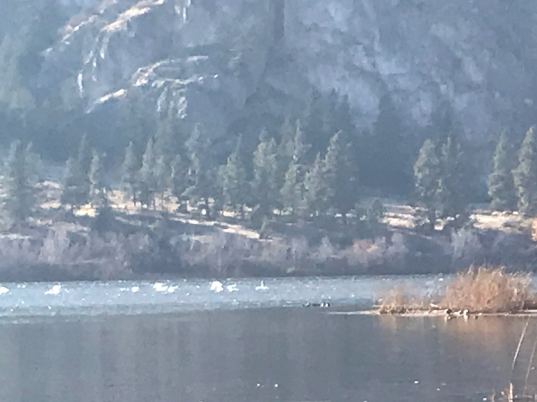 Vaseux Lake Provincial Park景点图片