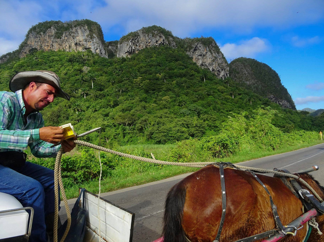 Viajando en el Tiempo-维纳勒斯必去景点