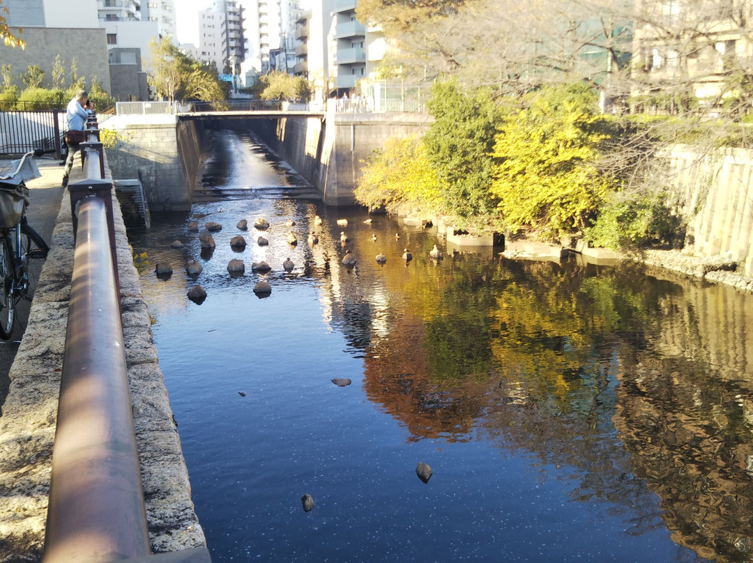 Meguro River Funairiba Plaza-Nakameguro必去景点