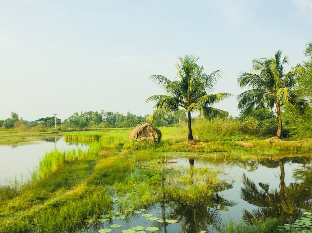 Visit Sunderbans- Take A Break Travels景点图片