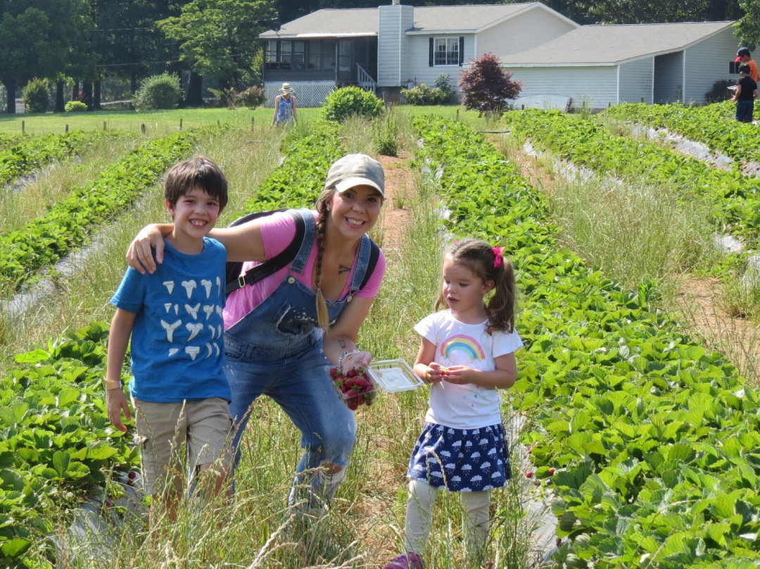 Warbington Farms-卡明必去景点