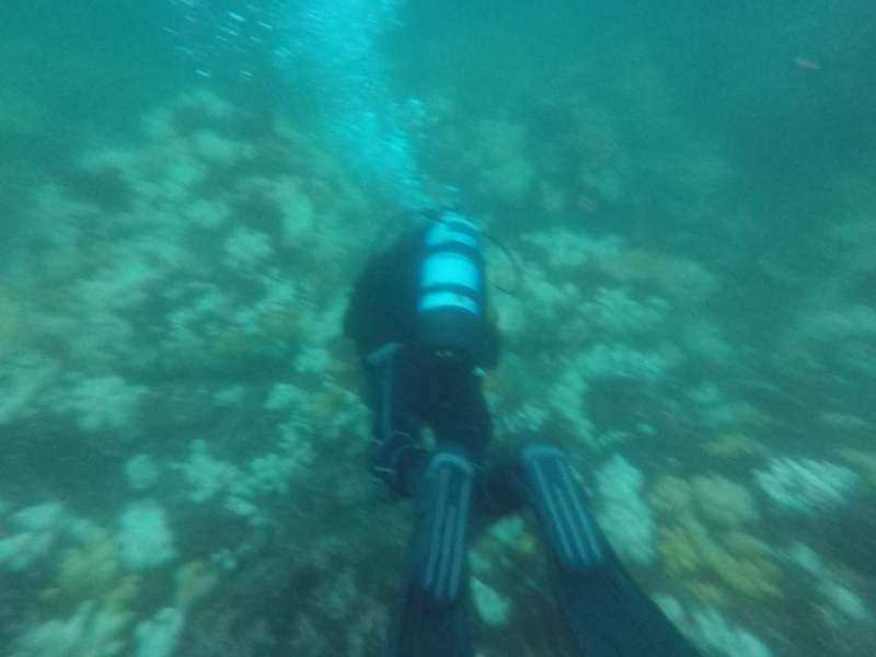 Scuba Ts Diving-Falkirk District必去景点