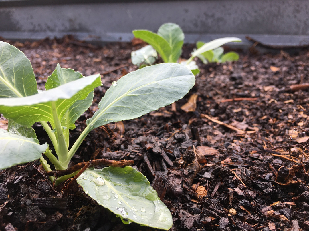 Bramleigh Manor主图